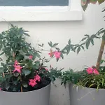 A L'ombre Des Remparts Appartement *