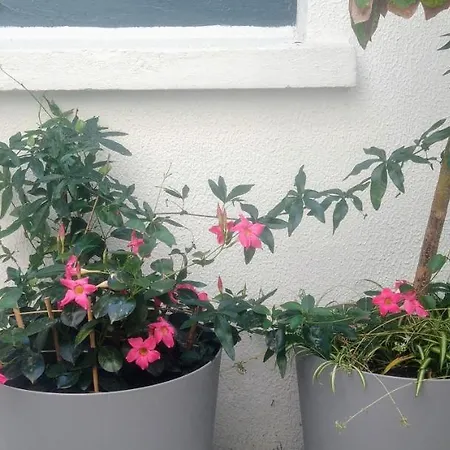 A L'ombre Des Remparts Apartamento *