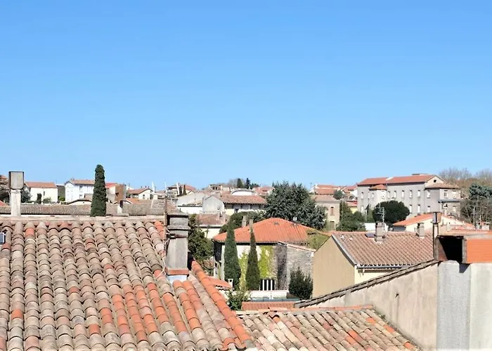 Daire A L'ombre Des Remparts Carcassonne